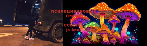 бутират Покачи