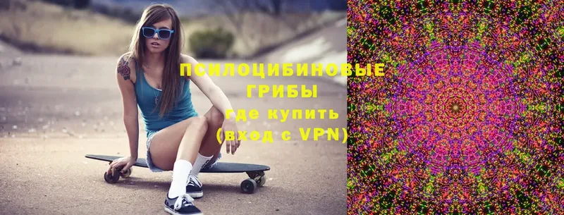 Псилоцибиновые грибы Magic Shrooms  купить   Рыбное 